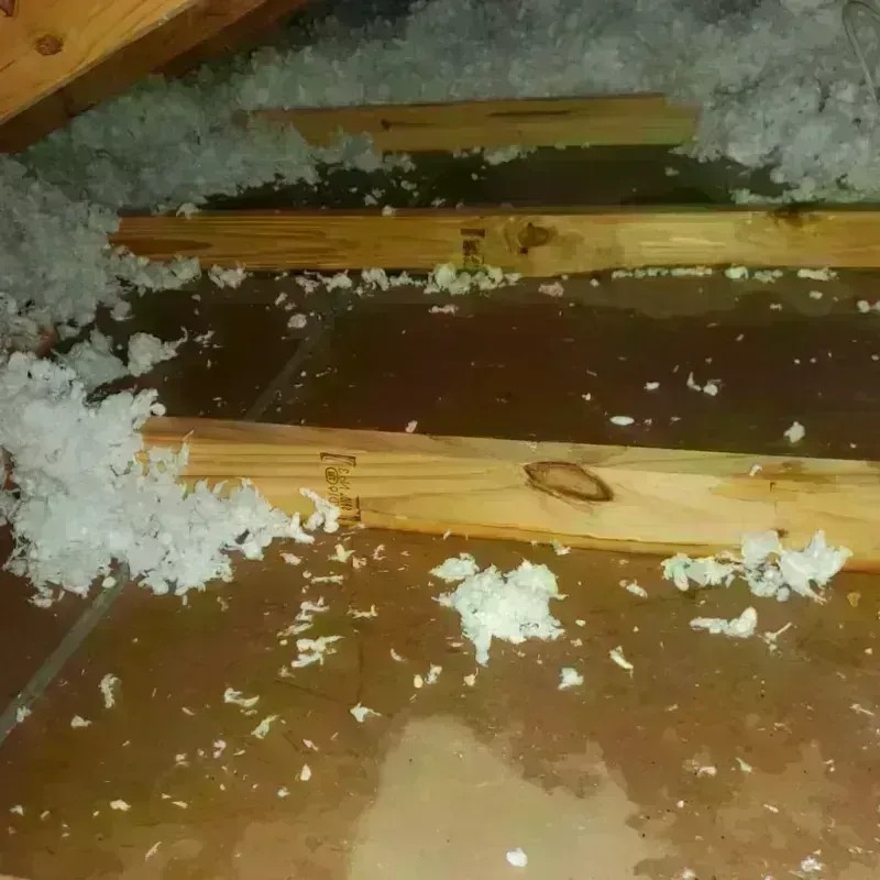 Attic Water Damage in Monterey, TN